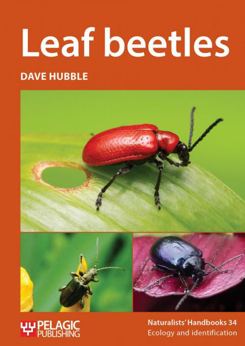 cover of new book on Leaf Beetles