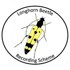 National Longhorn Beetle Recording Scheme logo