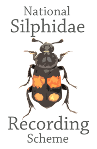 Silphidae Recording Scheme logo Silphidae Recording Scheme logo