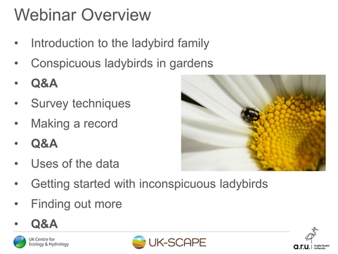 Ladybird Webinar