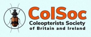 Coleopterists Society logo
